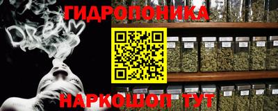 индика Пыть-Ях