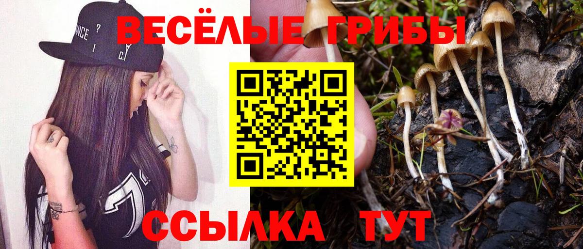 Псилоцибиновые грибы прущие грибы Озёрск