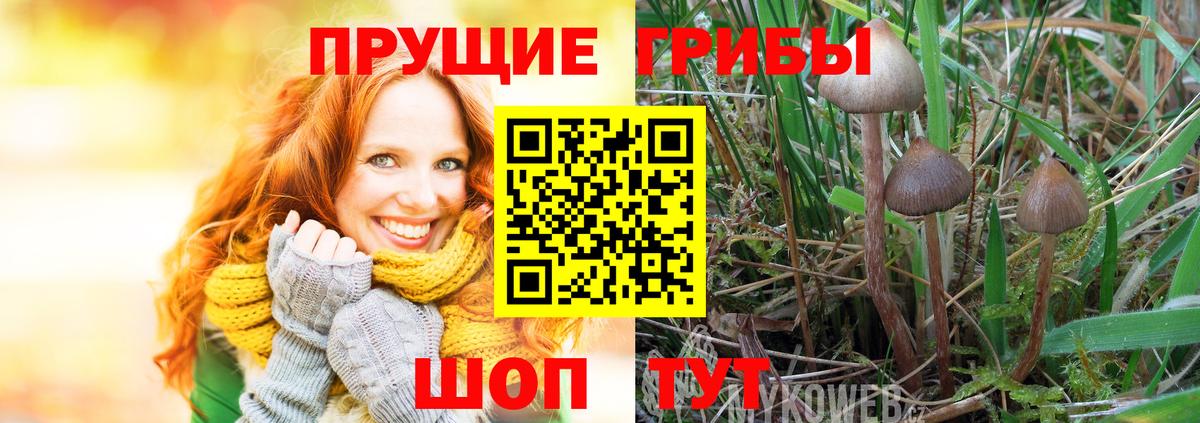 Галлюциногенные грибы Psilocybine cubensis  Галлюциногенные грибы мухоморы  Озёрск  Вход с VPN 
